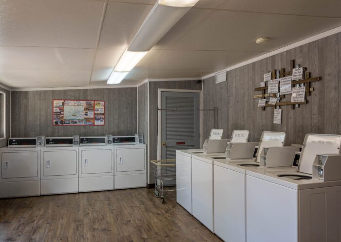 laundry - amenities