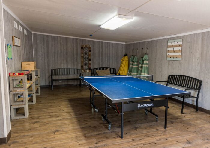 amenities - ping pong